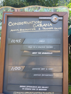 P1010434 (02-15-2015 09:47)