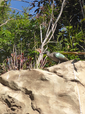 P1010435 (02-15-2015 09:55)