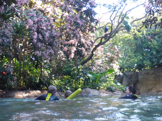 P1010437 (02-15-2015 09:55)