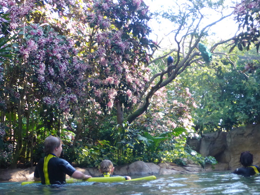 P1010438 (02-15-2015 09:55)