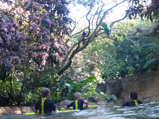 P1010439 (02-15-2015 09:55)