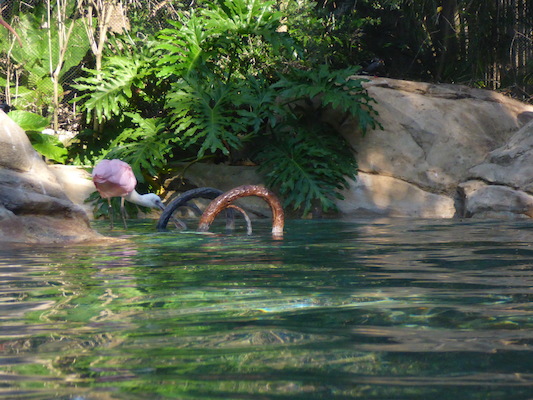 P1010440 (02-15-2015 09:57)