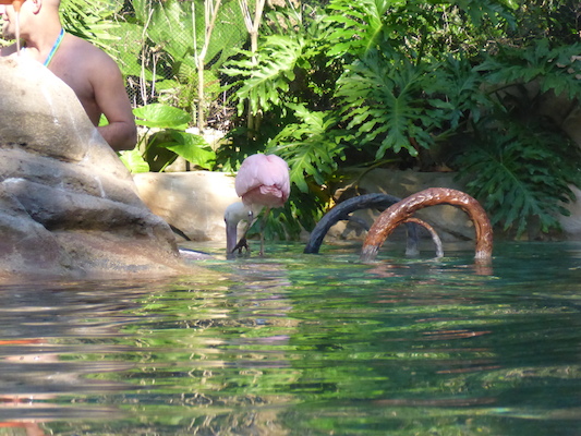 P1010441 (02-15-2015 09:57)