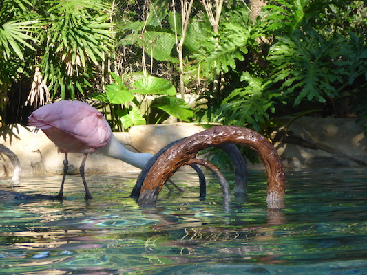 P1010442 (02-15-2015 09:57)