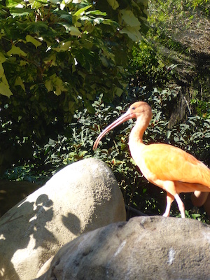 P1010443 (02-15-2015 09:57)