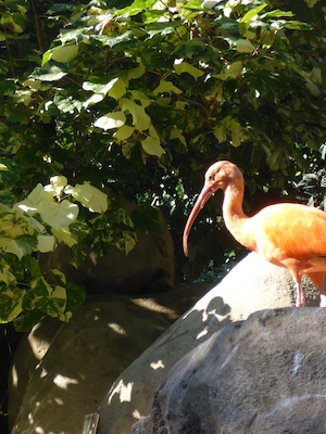 P1010444 (02-15-2015 09:57)