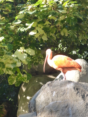 P1010445 (02-15-2015 09:57)