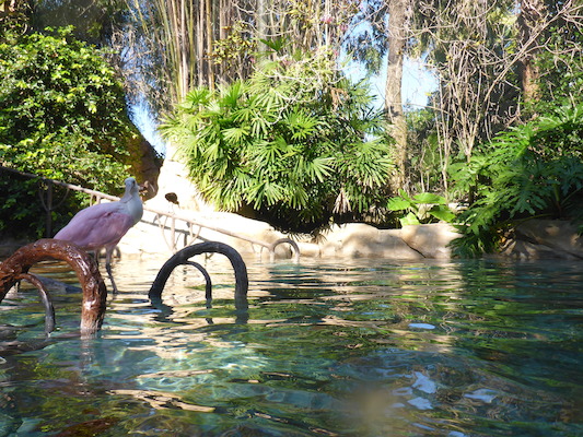 P1010446 (02-15-2015 09:57)