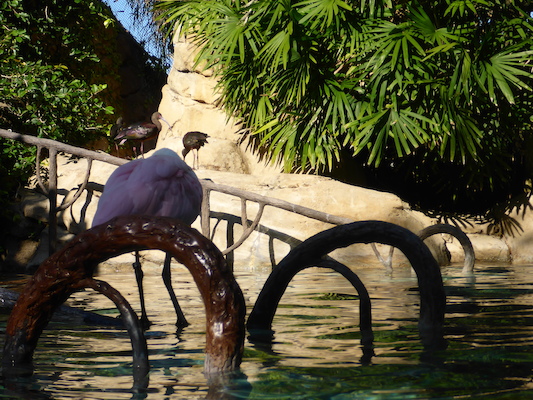 P1010447 (02-15-2015 09:57)