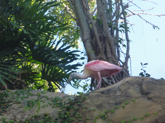 P1010448 (02-15-2015 09:58)