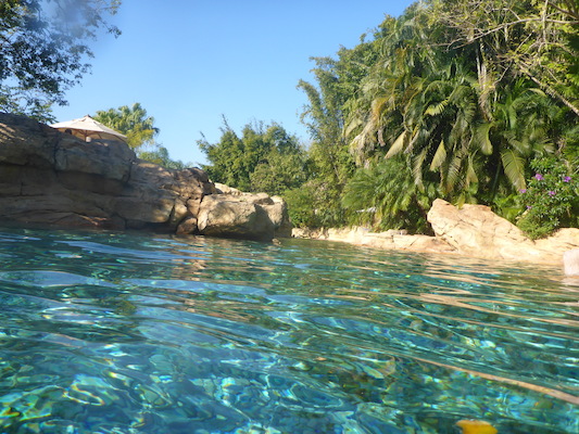 P1010449 (02-15-2015 10:03)