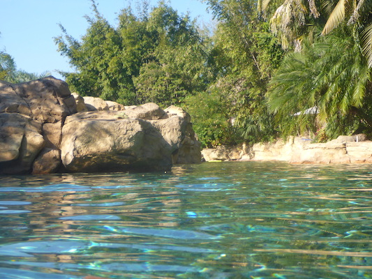 P1010450 (02-15-2015 10:03)