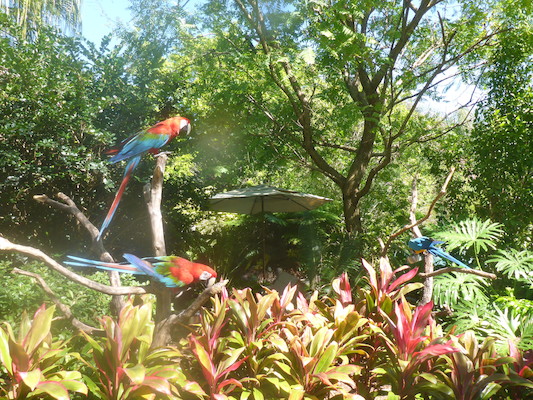 P1010451 (02-15-2015 12:54)