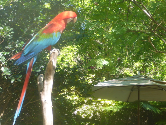 P1010452 (02-15-2015 12:54)