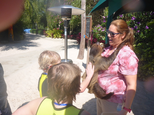 P1010454 (02-15-2015 13:02)