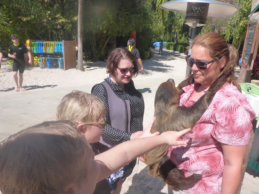 P1010456 (02-15-2015 13:02)