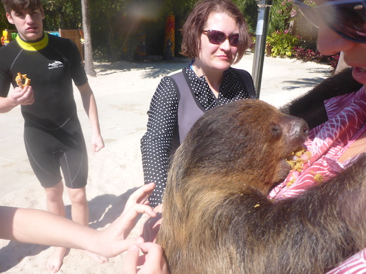 P1010457 (02-15-2015 13:03)