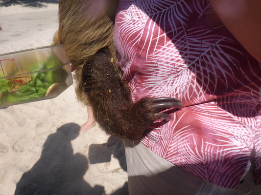 P1010458 (02-15-2015 13:03)