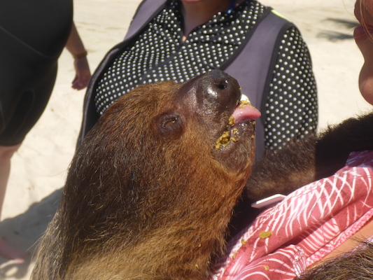 P1010459 (02-15-2015 13:03)