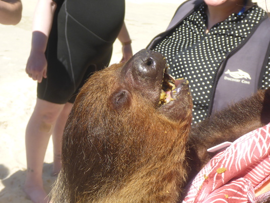 P1010460 (02-15-2015 13:03)