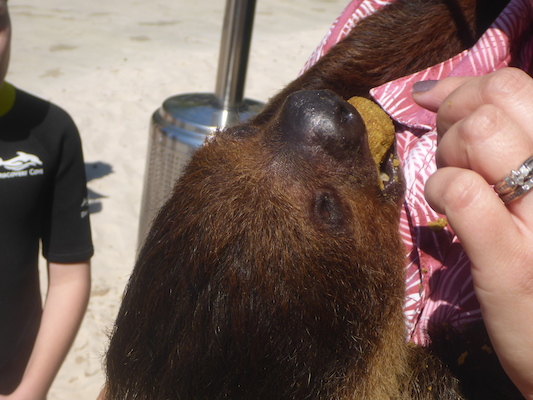 P1010461 (02-15-2015 13:04)