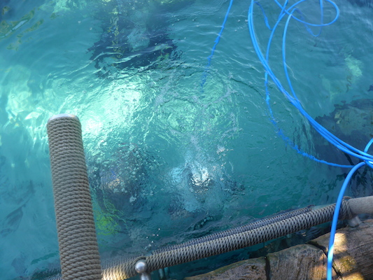 P1010462 (02-15-2015 13:31)