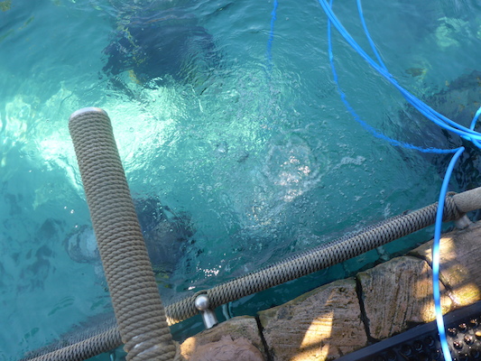 P1010463 (02-15-2015 13:31)