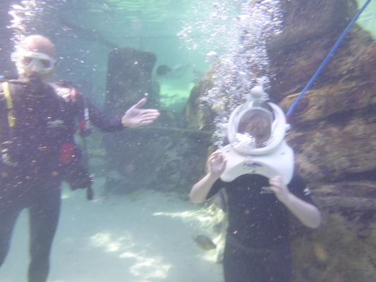 P1010464 (02-15-2015 13:31)