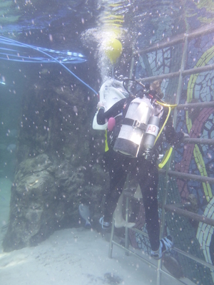 P1010465 (02-15-2015 13:32)