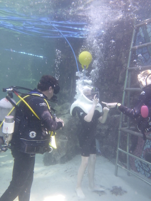 P1010466 (02-15-2015 13:32)