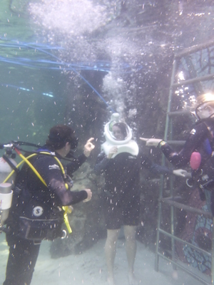 P1010467 (02-15-2015 13:33)