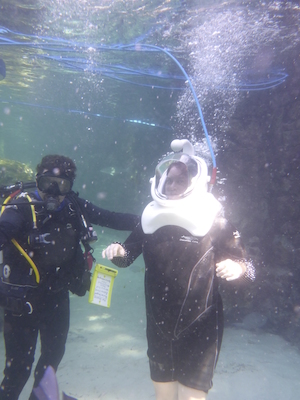 P1010468 (02-15-2015 13:33)