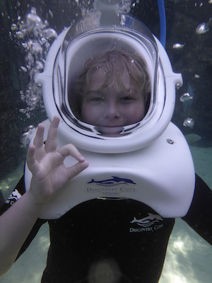 P1010469 (02-15-2015 13:34)