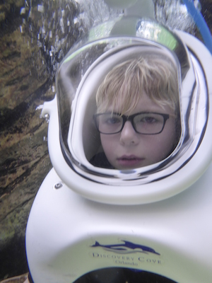 P1010470 (02-15-2015 13:34)