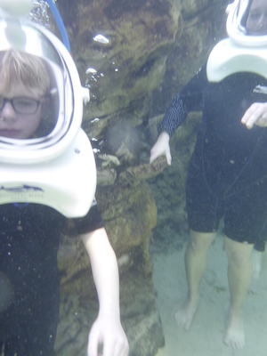 P1010471 (02-15-2015 13:35)