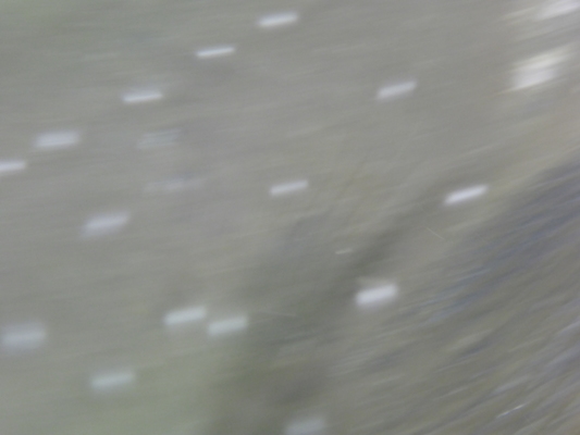 P1010479 (02-15-2015 13:42)