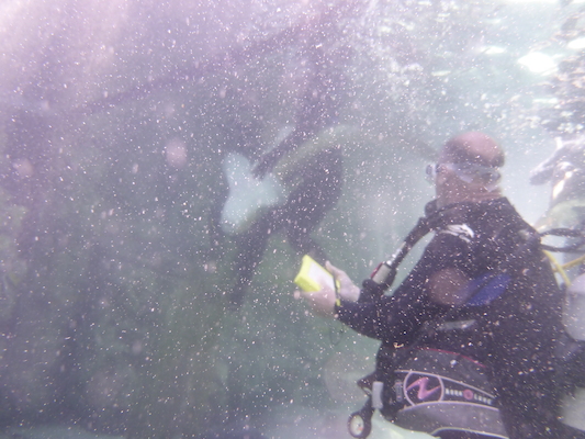 P1010484 (02-15-2015 13:44)