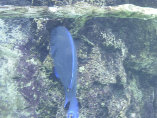 P1010486 (02-15-2015 13:44)