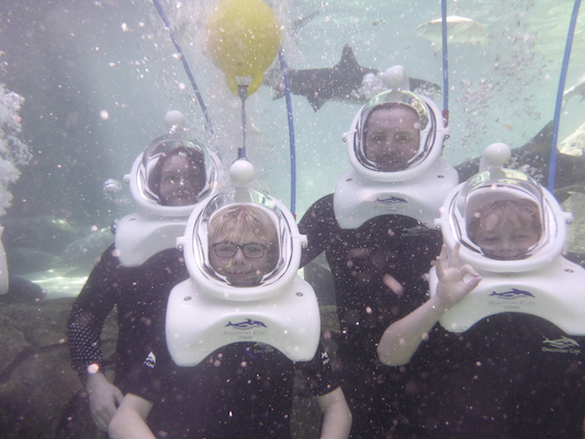 P1010490 (02-15-2015 13:45)