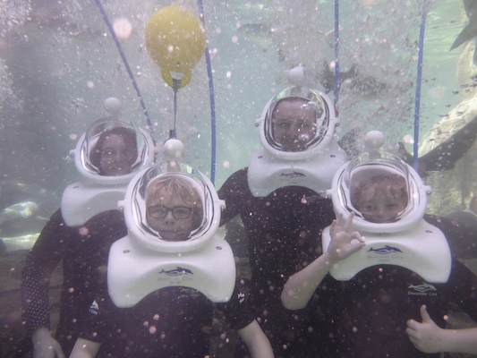 P1010491 (02-15-2015 13:45)