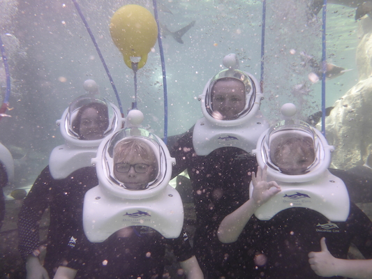 P1010492 (02-15-2015 13:45)