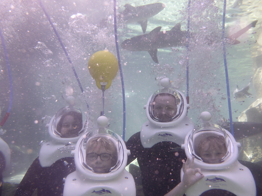 P1010493 (02-15-2015 13:45)