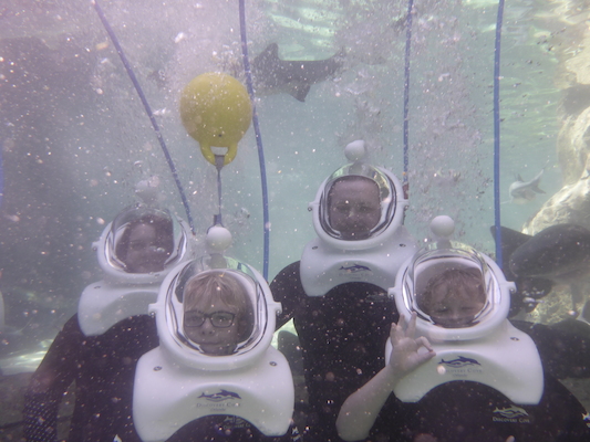 P1010494 (02-15-2015 13:45)