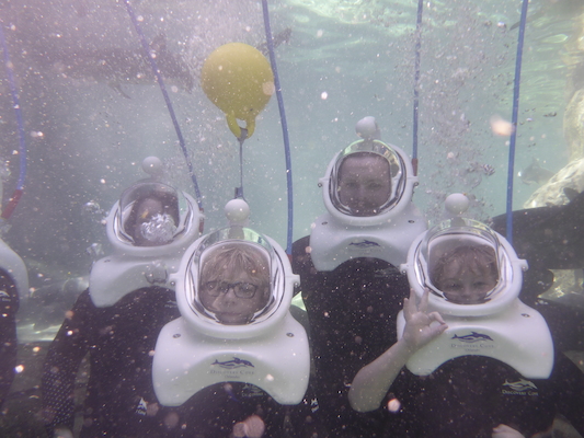 P1010495 (02-15-2015 13:45)