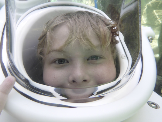 P1010496 (02-15-2015 13:46)