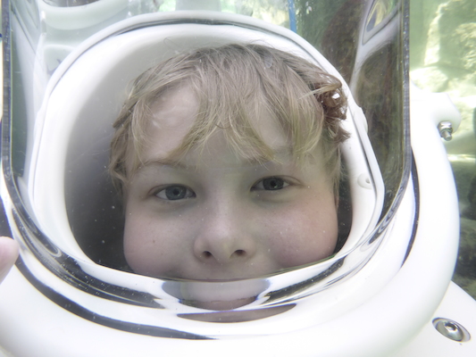 P1010497 (02-15-2015 13:46)