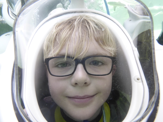 P1010499 (02-15-2015 13:46)