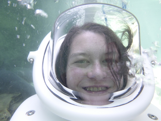 P1010501 (02-15-2015 13:46)