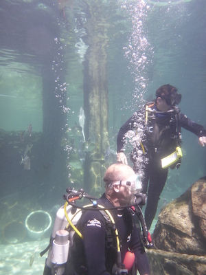 P1010502 (02-15-2015 13:46)