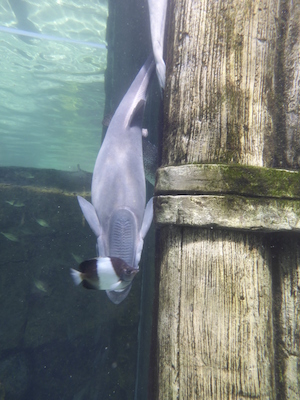 P1010508 (02-15-2015 13:48)